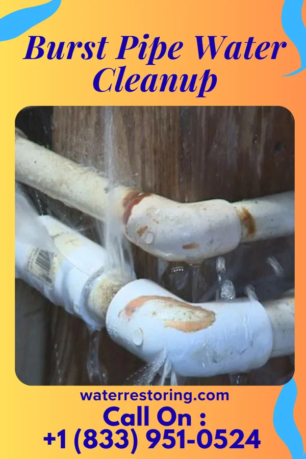 Burst Pipe Water Cleanup in Laurel Park, NC