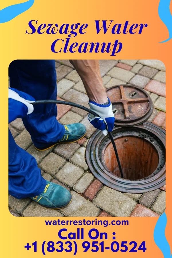 Sewage Water Cleanup in Laurel Park, NC